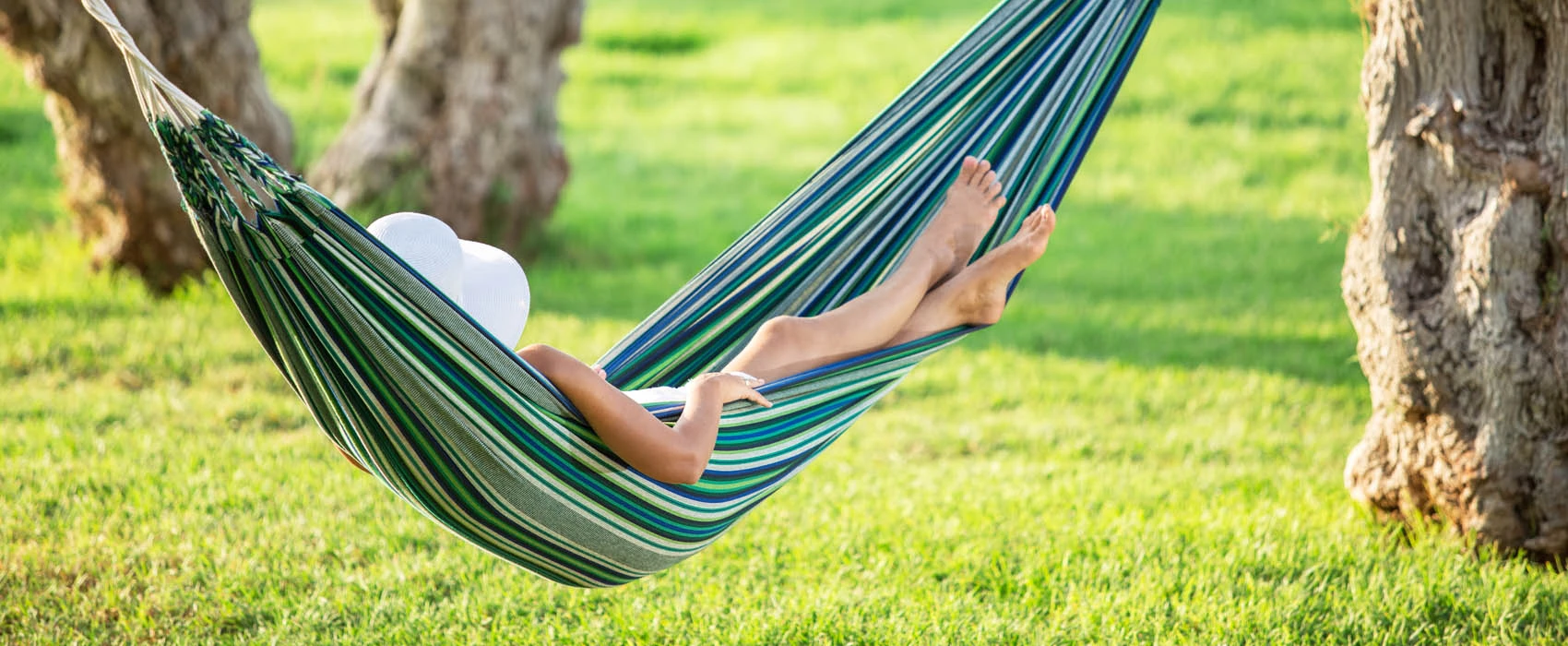 Landscaping and Lawn Care