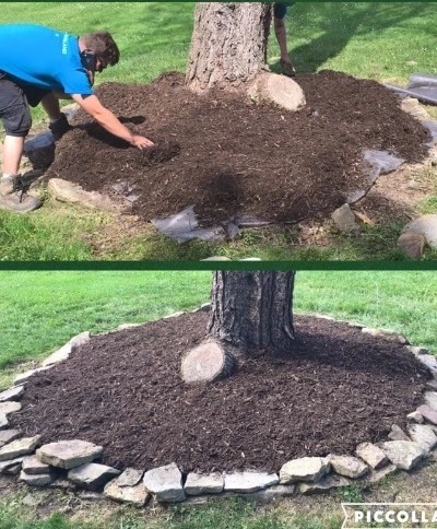 Landscaping Bed Re-Design