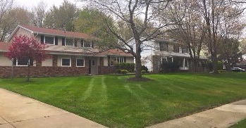 Lawn Maintenance Service