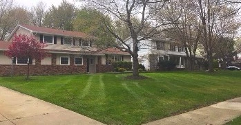 Lawn Maintenance Service