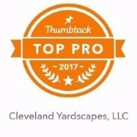 Thumbtack Top Pro